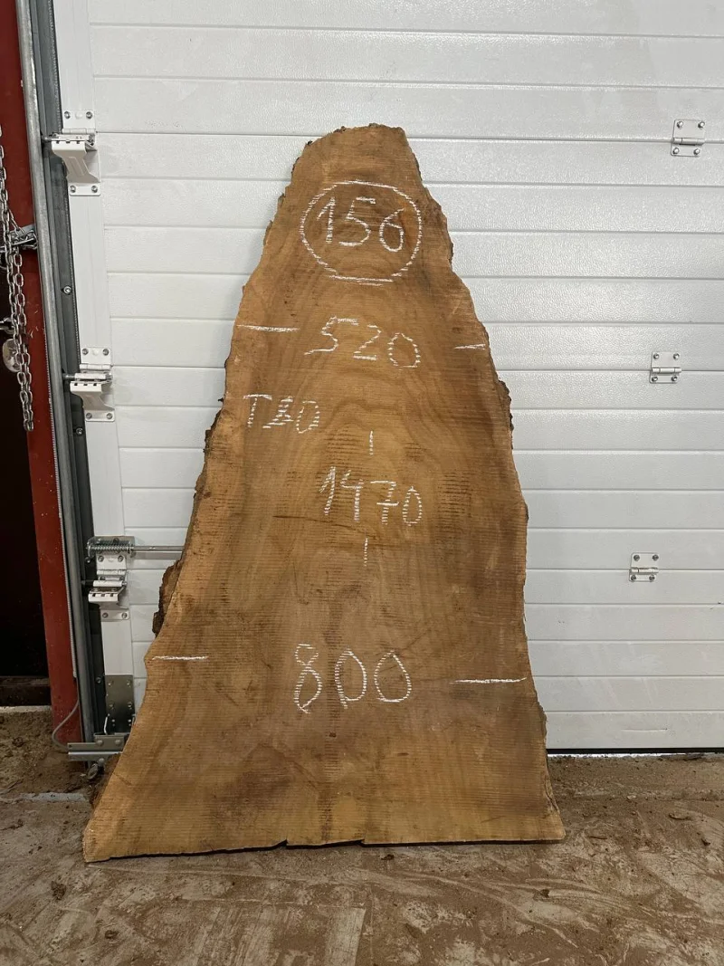 Слэб карагач