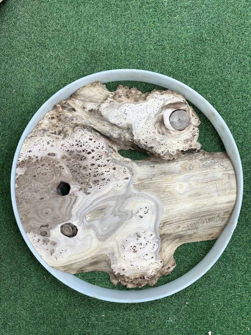 Слэб карагач