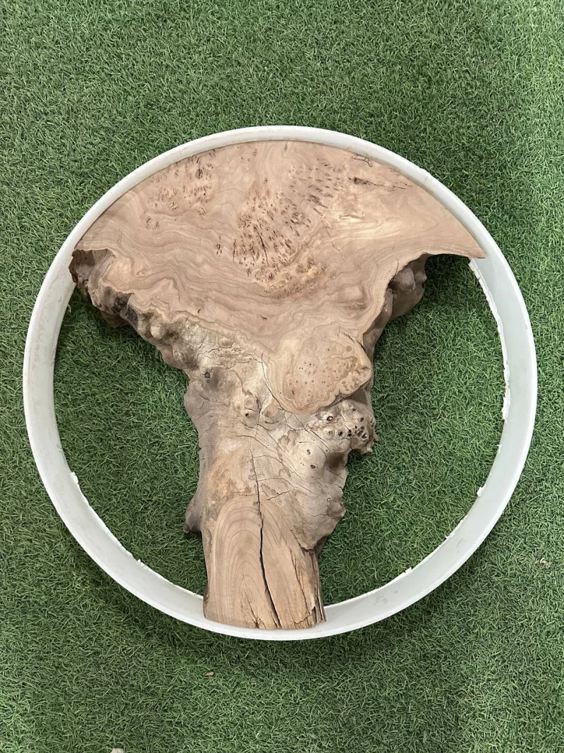 Слэб карагач