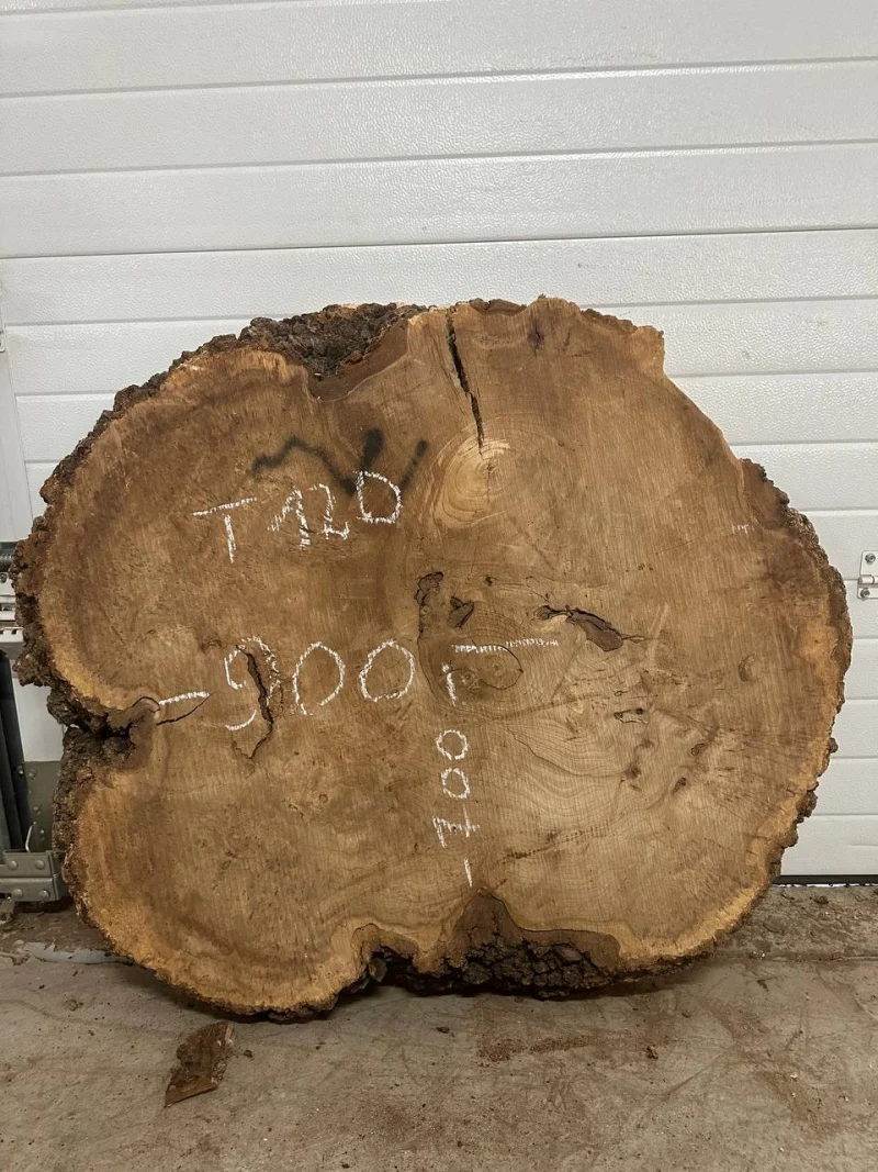 Спил карагача