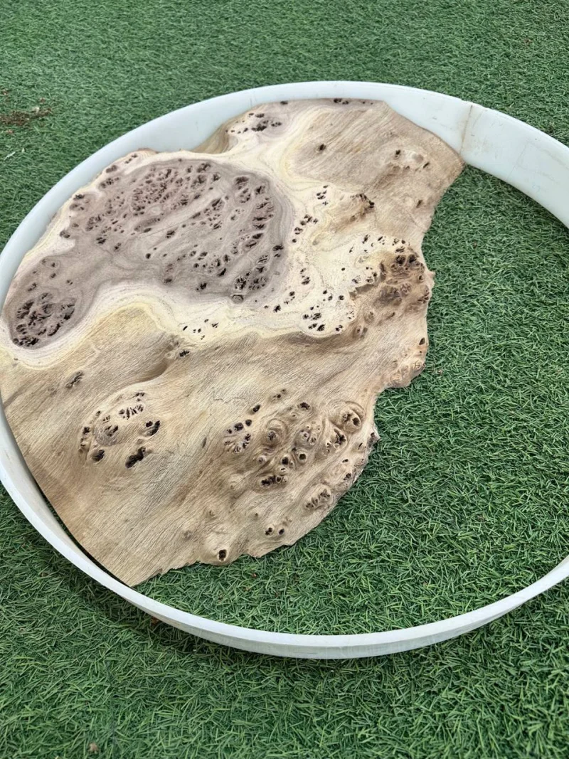 Слэб карагач