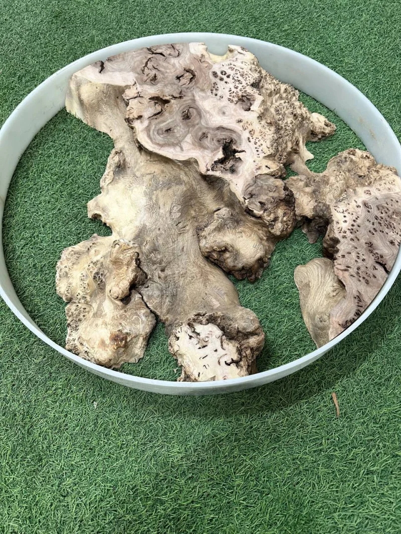 Слэб карагач