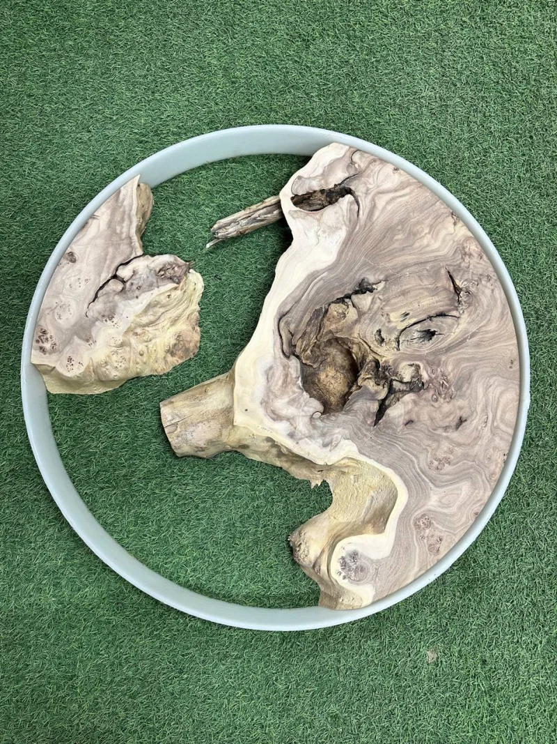 Слэб карагач