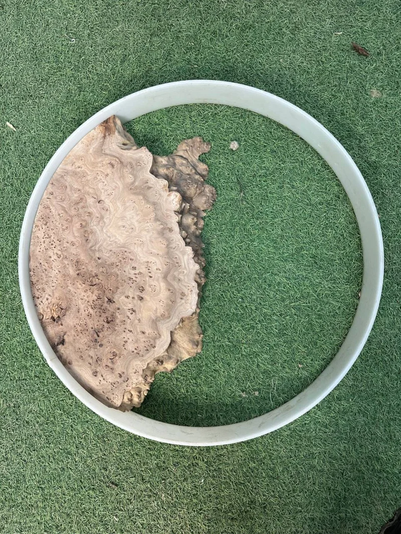 Слэб карагач