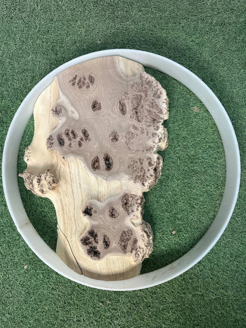 Слэб карагач