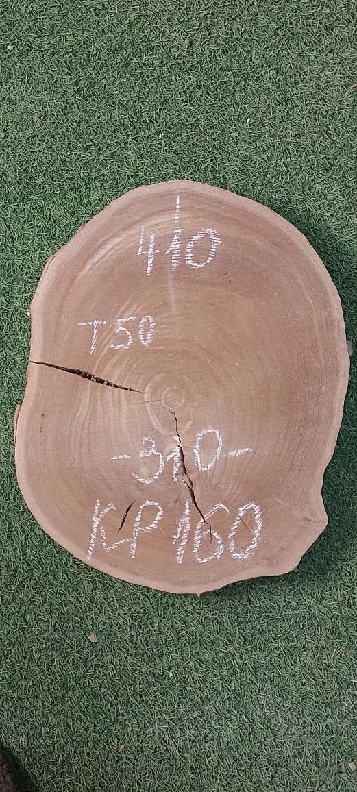 Спил карагача