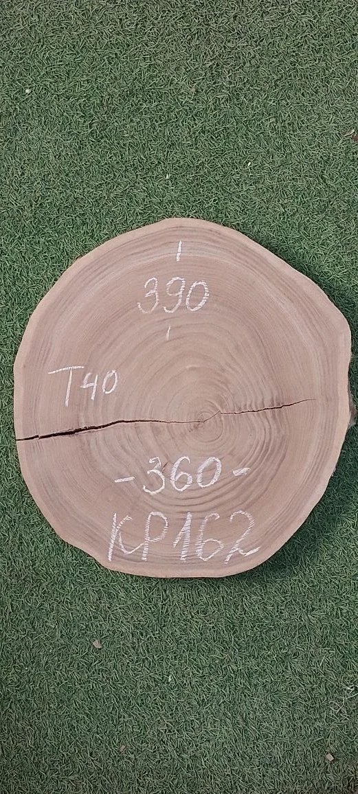 Спил карагача