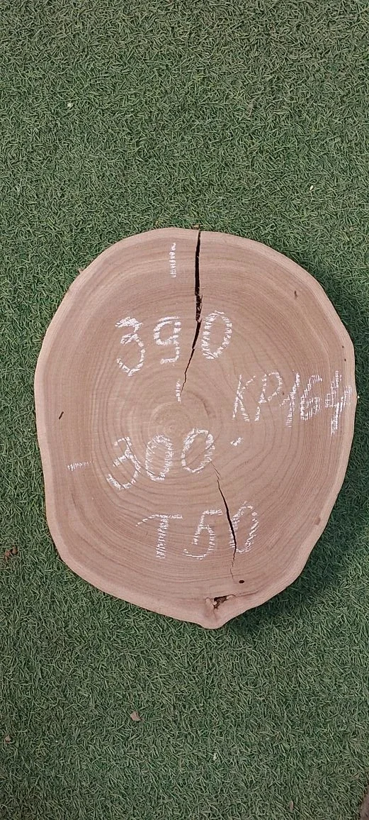 Спил карагача