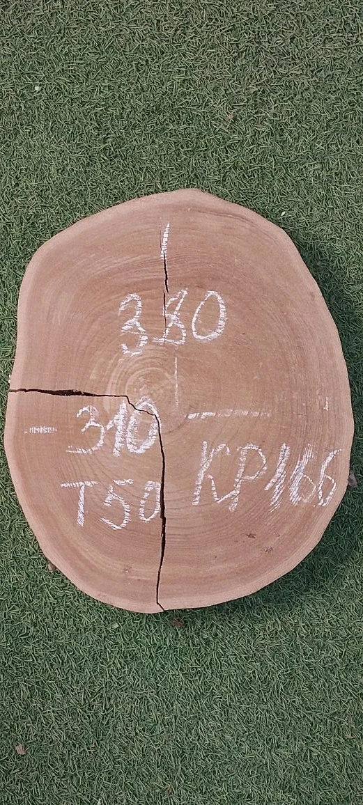 Спил карагача