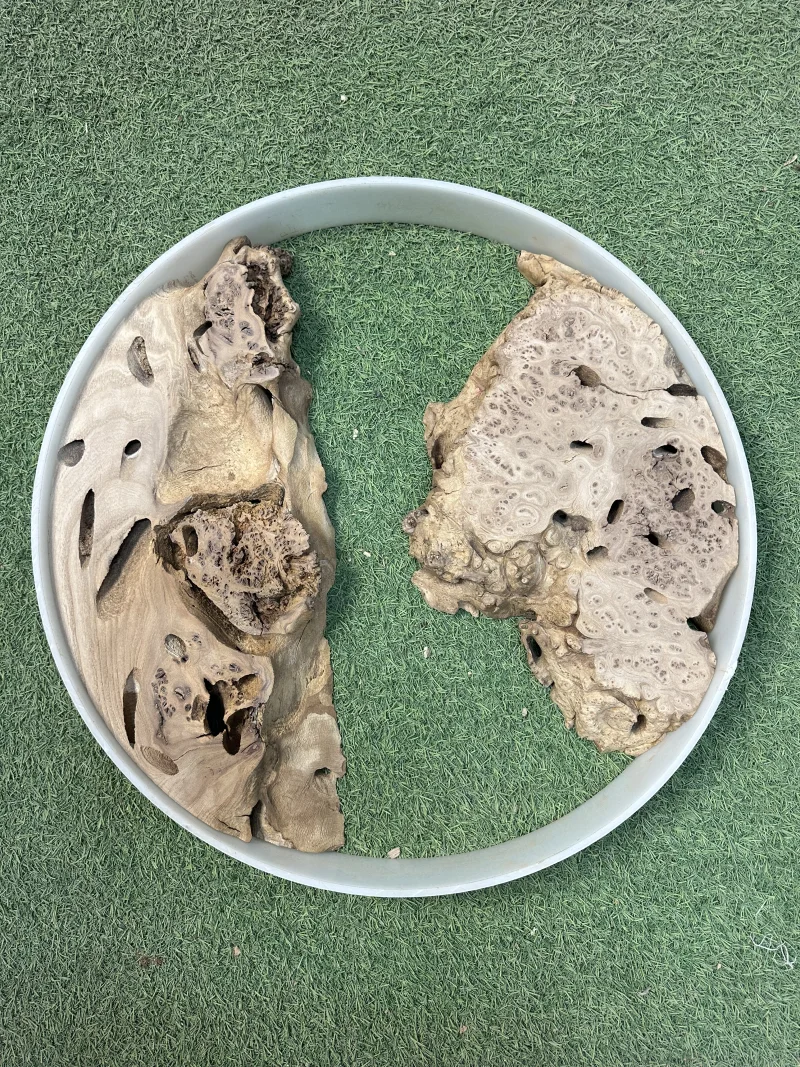 Слэб карагач