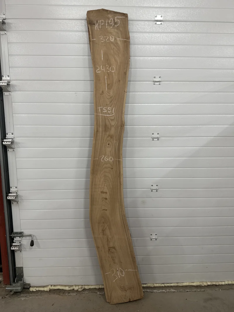 Слэб карагач