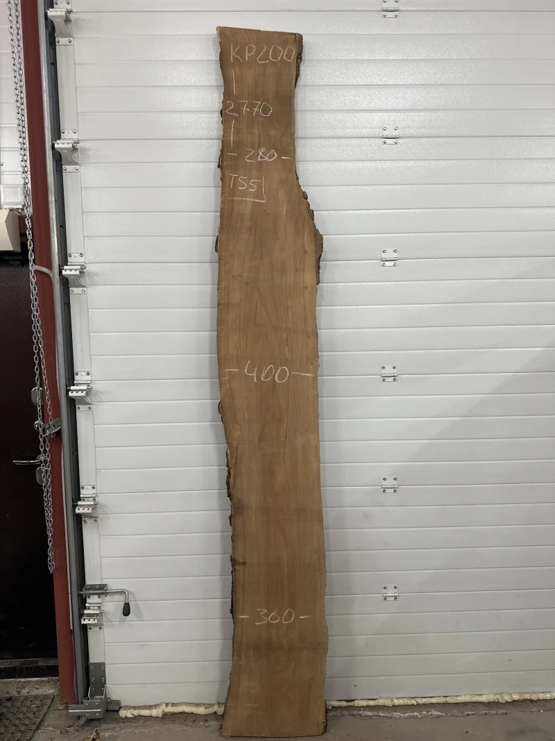 Слэб карагач