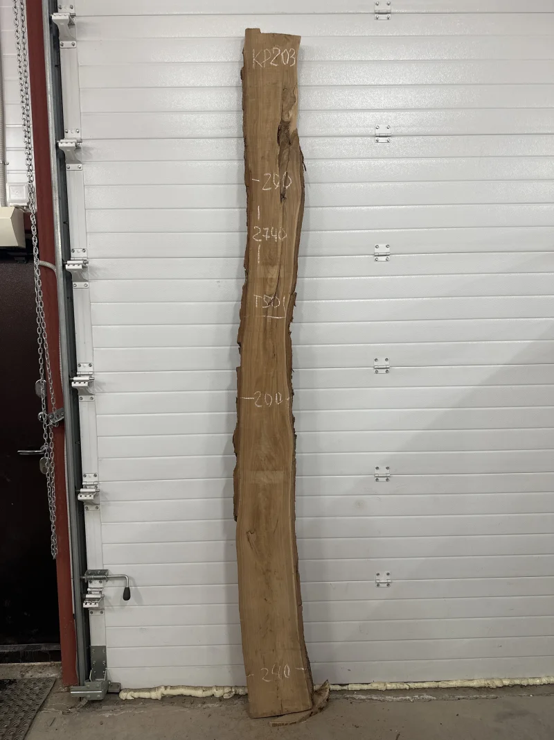 Слэб карагач