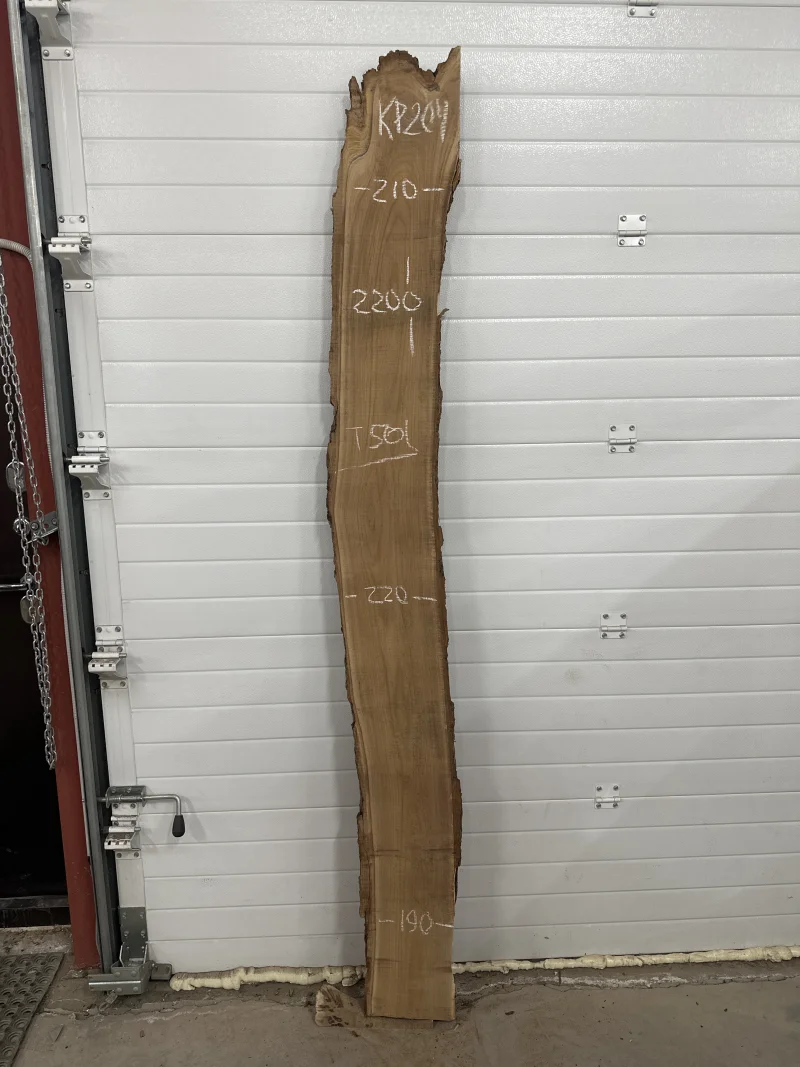 Слэб карагач