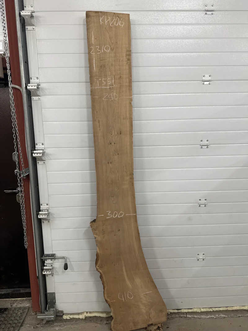 Слэб карагач