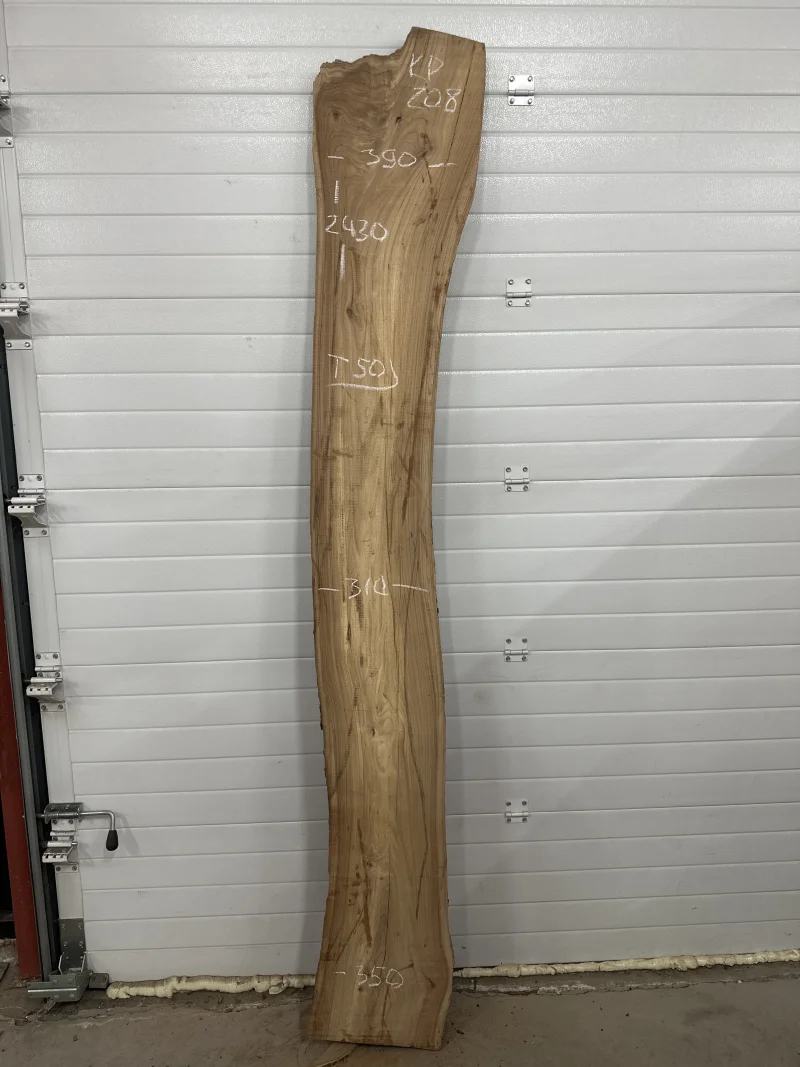 Слэб карагач