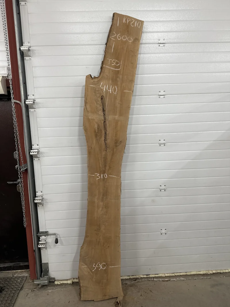 Слэб карагач