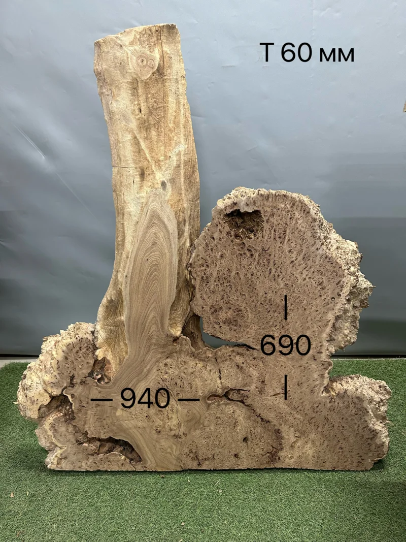 Слэб карагач