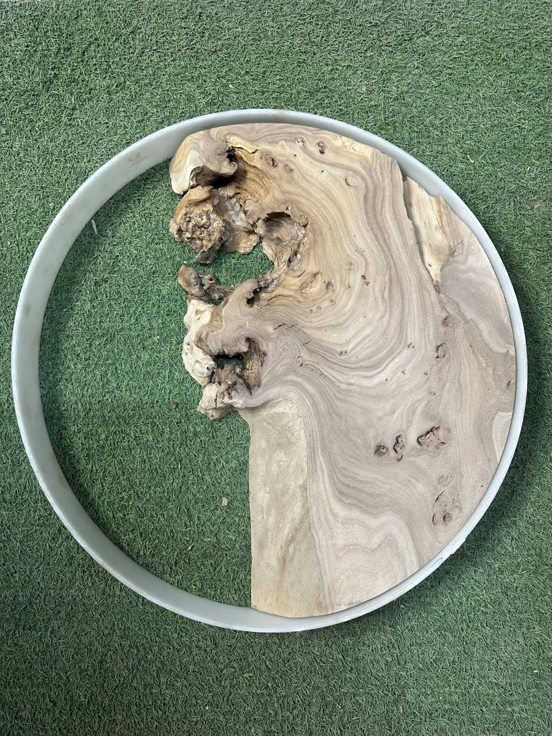 Слэб карагач