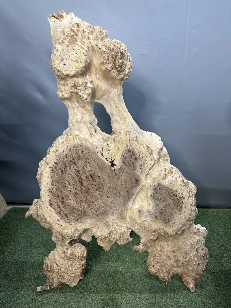 Слэб карагач