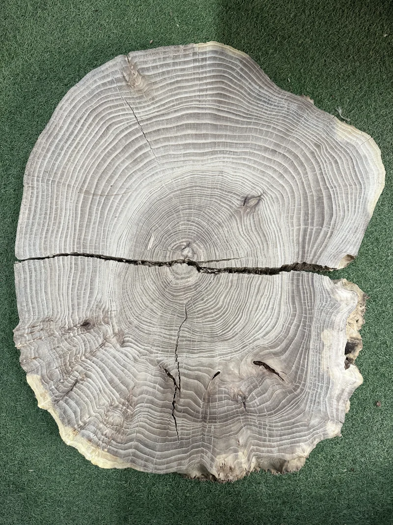 Спил карагача 