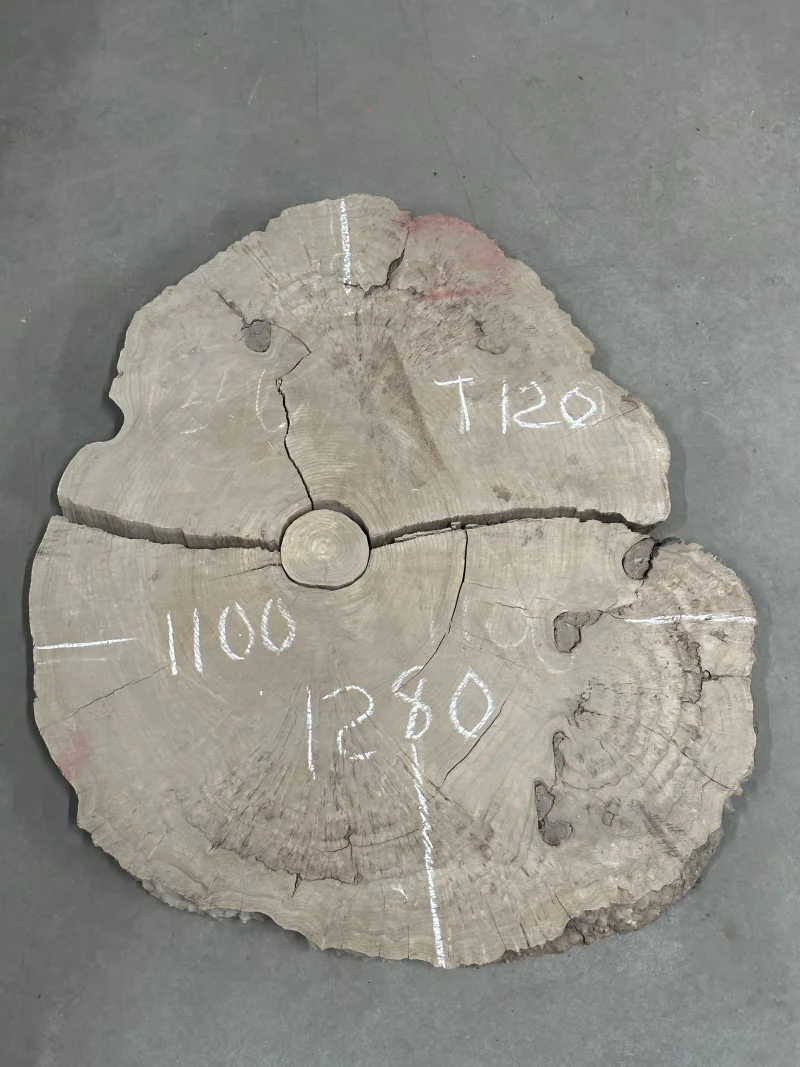 Спил карагача