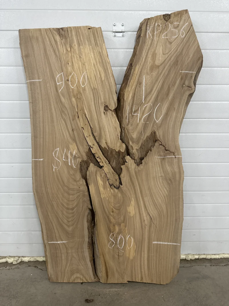 Слэб карагач