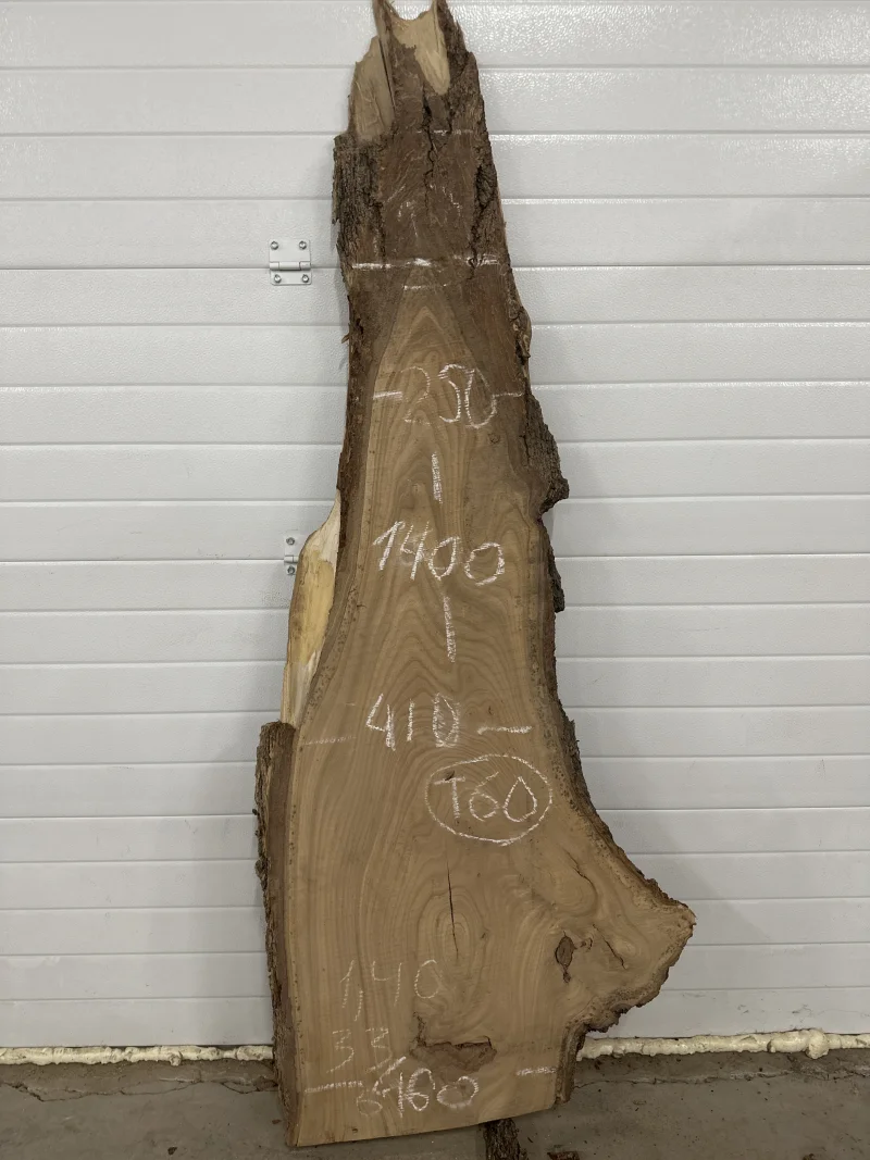 Слэб карагач