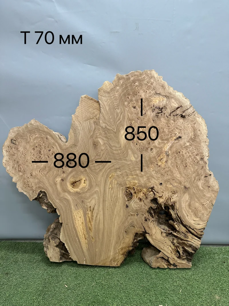 Слэб карагач