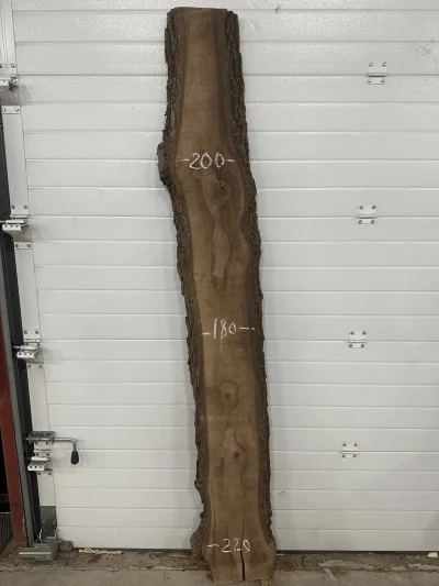 Слэб американского ореха