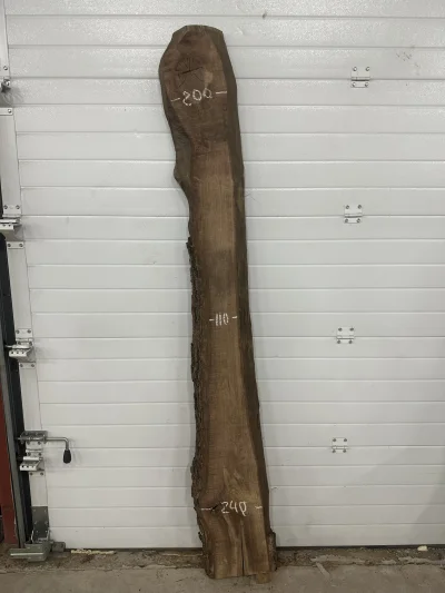 Слэб американского ореха