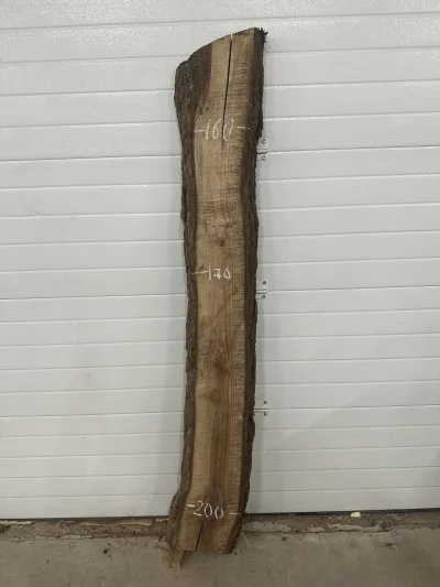 Слэб американского ореха