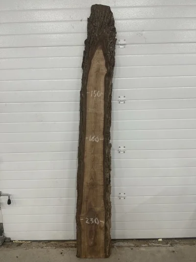 Слэб американского ореха