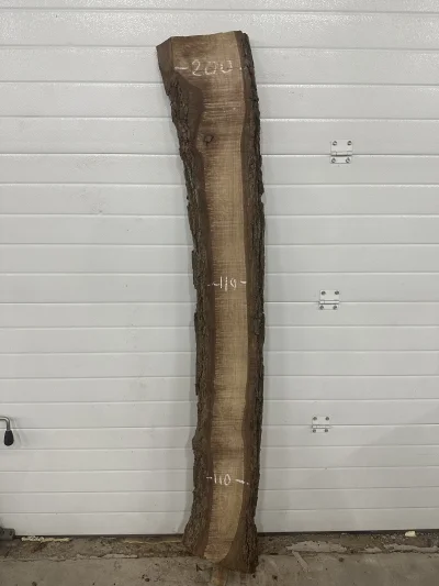 Слэб американского ореха