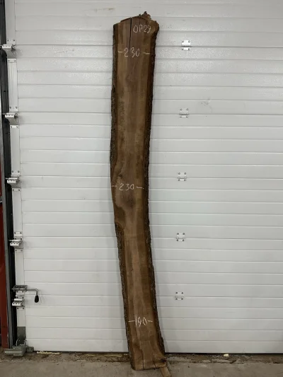 Слэб американского ореха