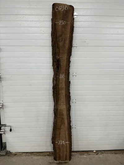 Слэб американского ореха