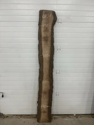 Слэб американского ореха