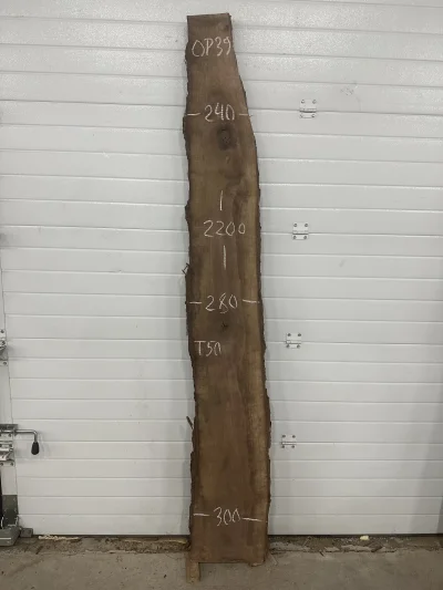 Слэб американского ореха