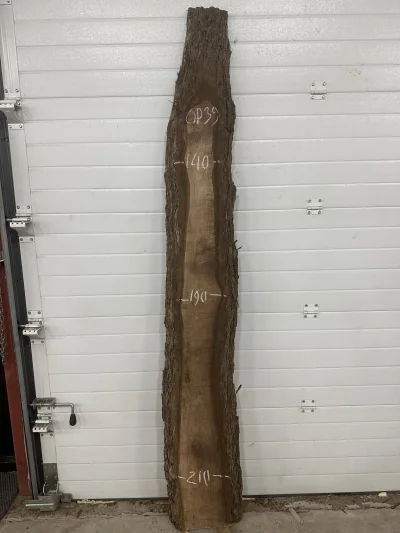 Слэб американского ореха