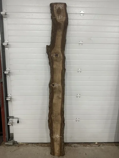 Слэб американского ореха