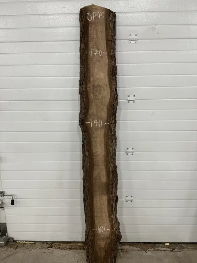 Слэб американского ореха