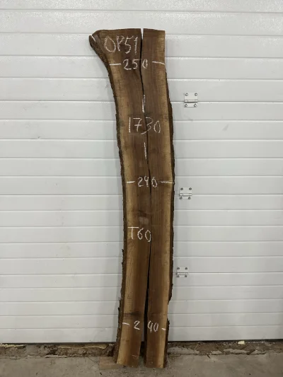 Слэб американского ореха