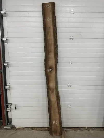 Слэб американского ореха