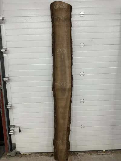 Слэб американского ореха