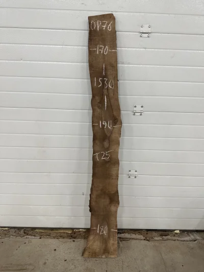 Слэб американского ореха