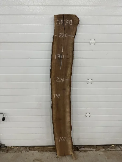 Слэб американского ореха