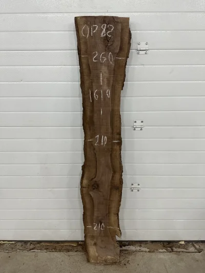 Слэб американского ореха