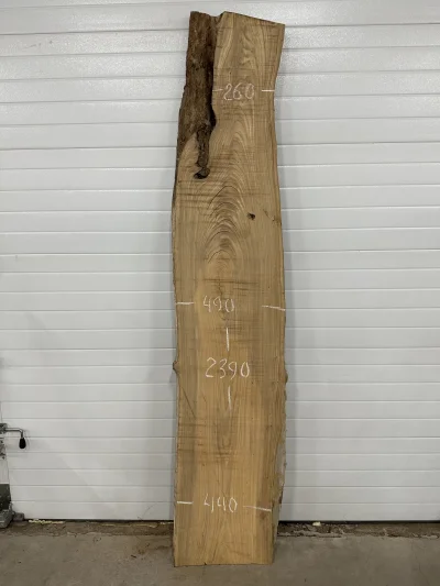 Слэб карагач