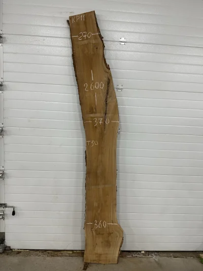 Слэб карагач 