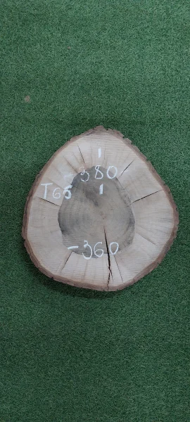  Спил грецкого ореха 